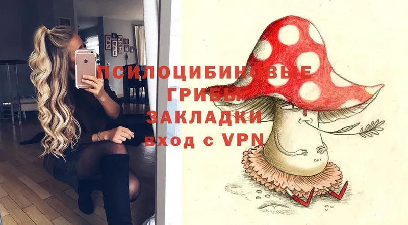 закладка  Высоковск  mega рабочий сайт  Галлюциногенные грибы Magic Shrooms 